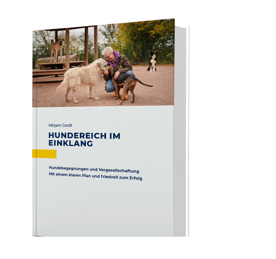 Hundereich im Einklang