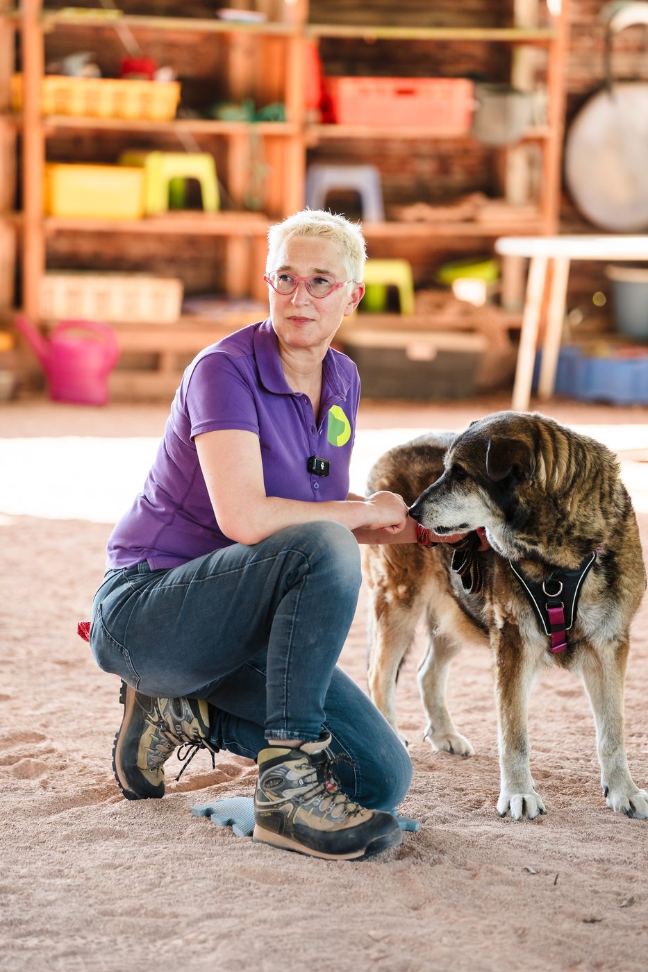 Mirjam Cordt kniet bei einem Tierschutzhund und baut Vertrauen auf