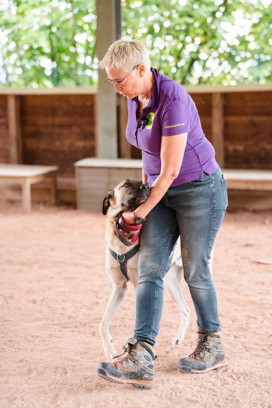 Mirjam Cordt führt einen Hund ruhig und auf Augenhöhe