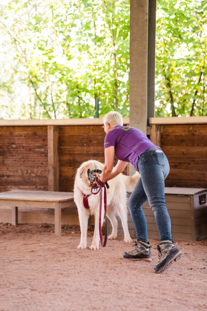 Nähe zwischen Mirjam und einem Hund