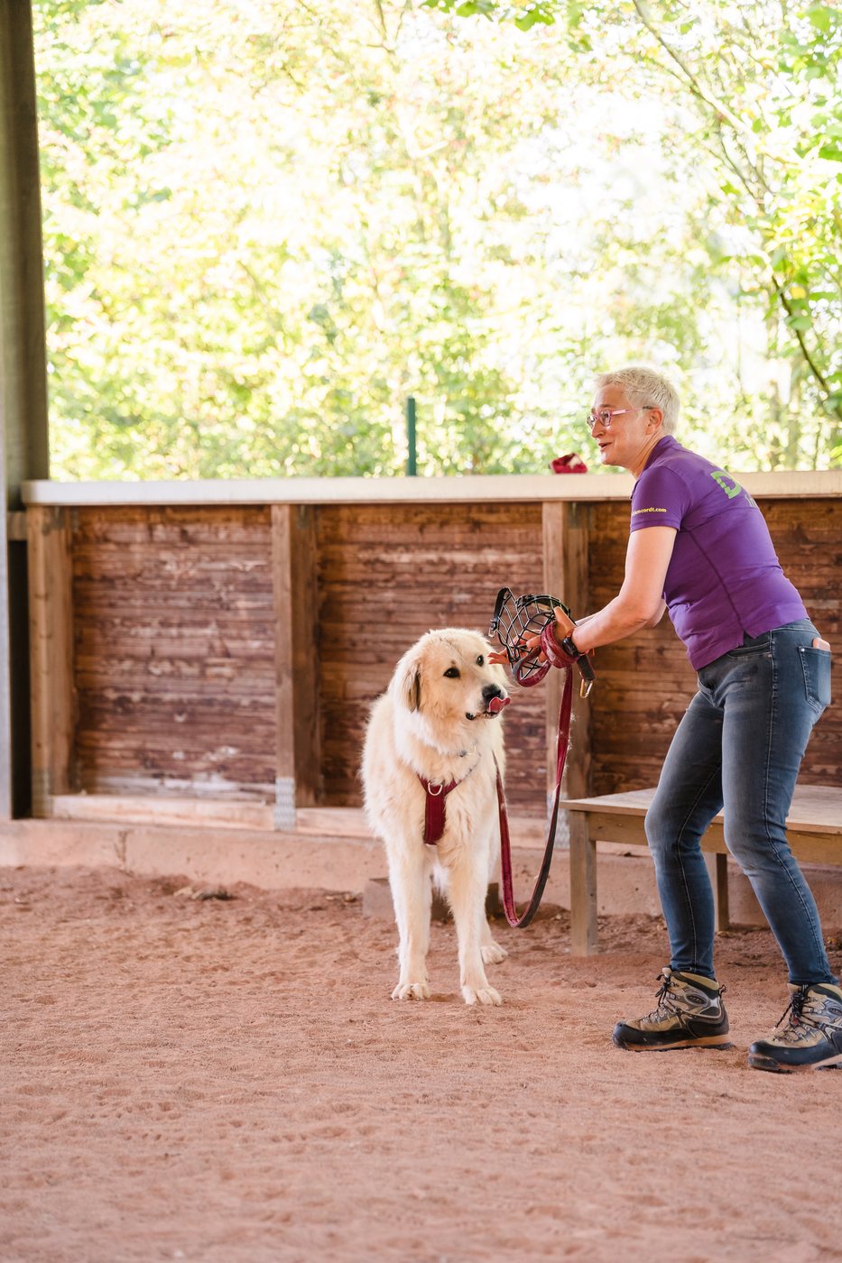 Mirjam Cordt arbeitet konzentriert mit einem großen Hund